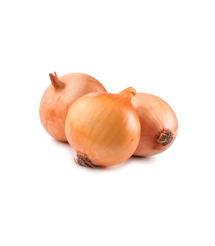 PR_VER_CebollaBlanca