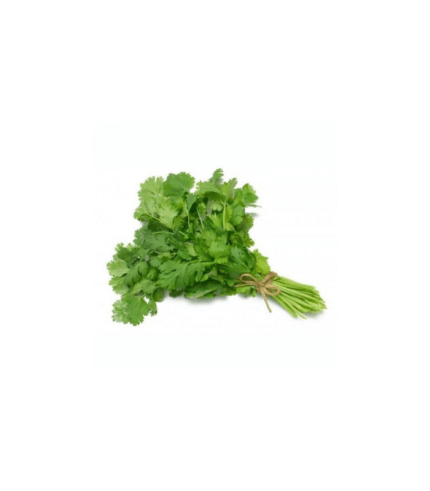 Cilantro pqte 200grs