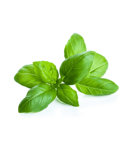 Albahaca bandeja 200 grs